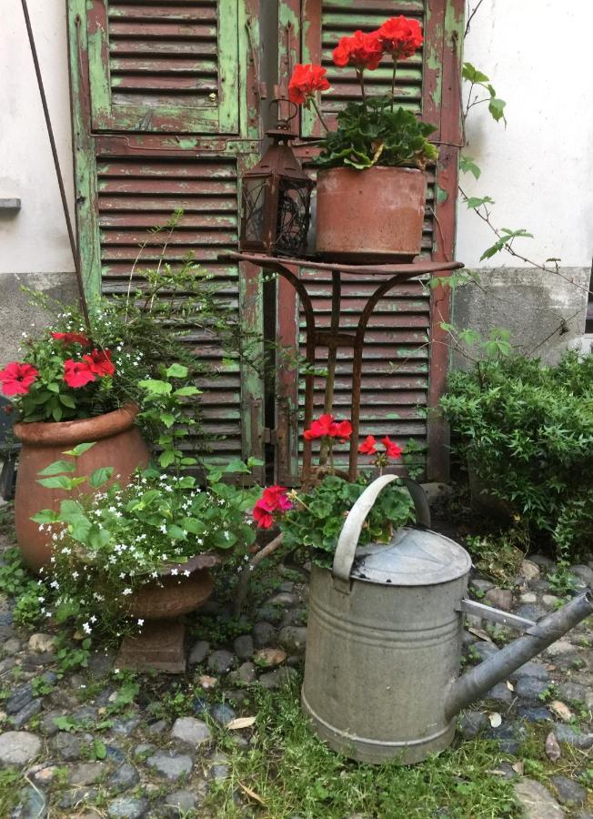 ノーヴィ・リーグレLa Casa Sul Giardino- Garden Houseアパートメント エクステリア 写真